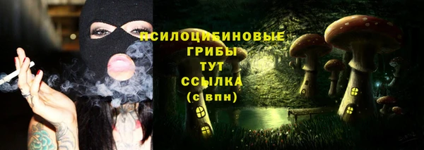 твердый Алексеевка
