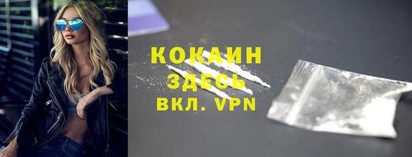 твердый Алексеевка