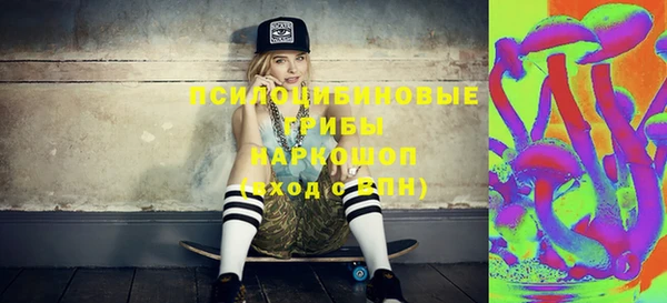 ПСИЛОЦИБИНОВЫЕ ГРИБЫ Абдулино