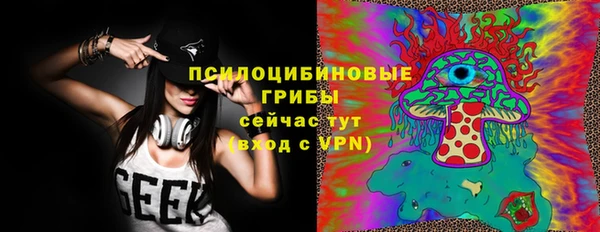 твердый Алексеевка